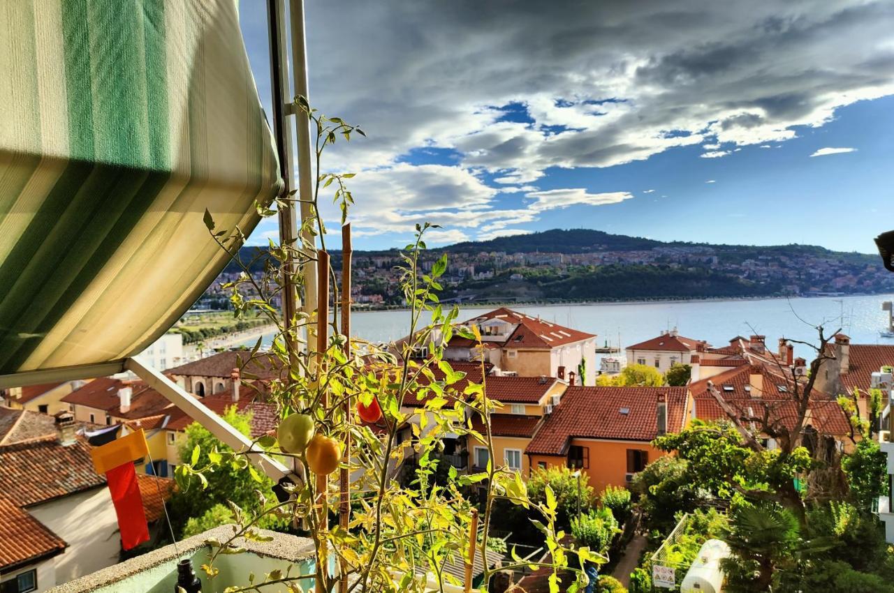 Maestral Daire Koper Dış mekan fotoğraf