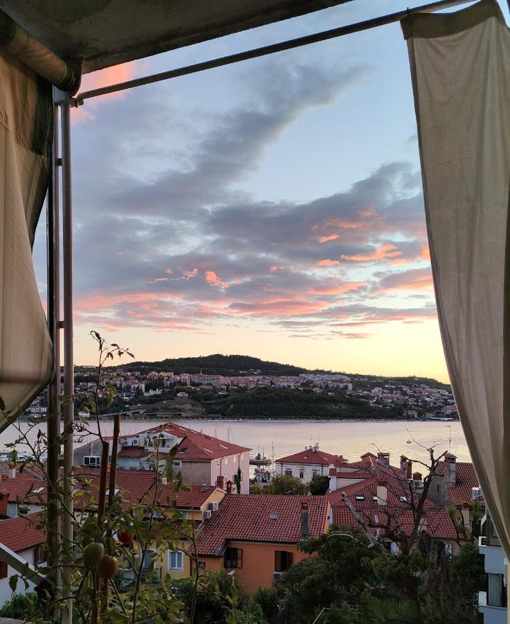 Maestral Daire Koper Dış mekan fotoğraf